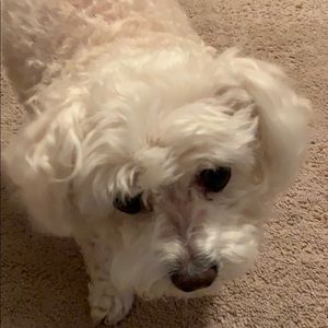 Meet your Posher, Mary